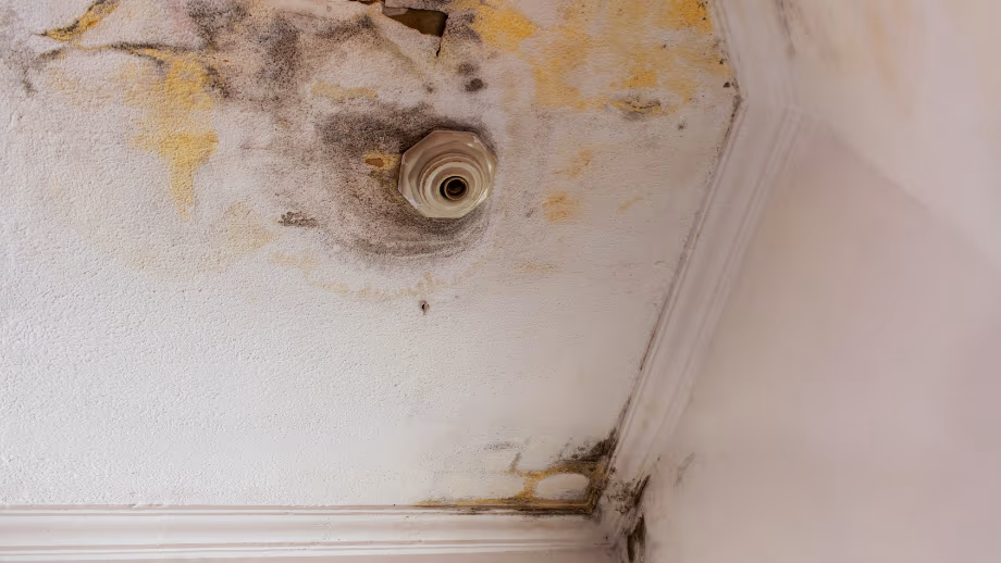 Técnico detectando vazamento em banheiro de apartamento moderno